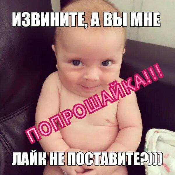 ПОПРОШАЙКА..