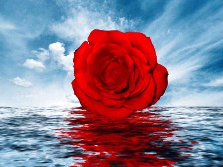 Поэты молоды всегда!