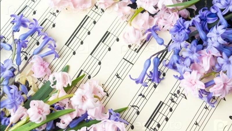 По утрам тебе музыка снится