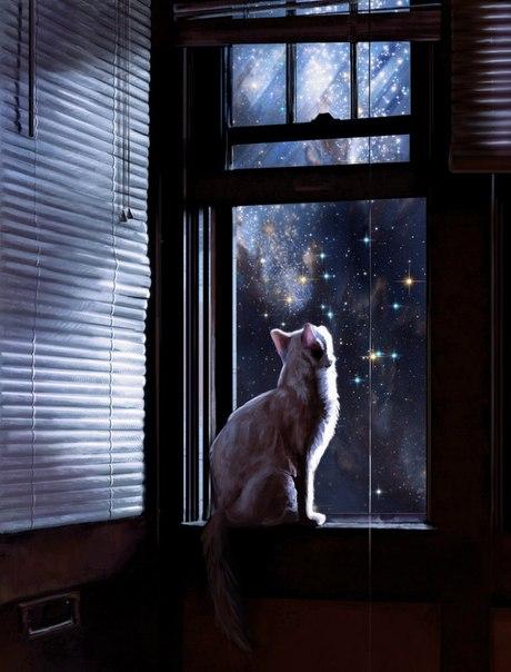 Не спишь еще?