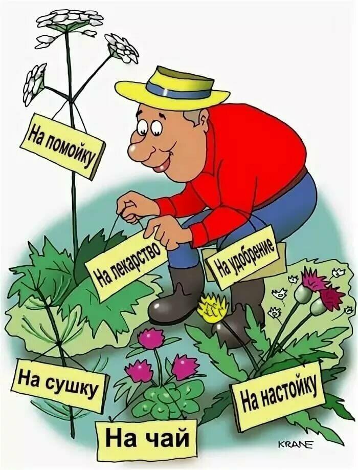 Грядка - целый клад