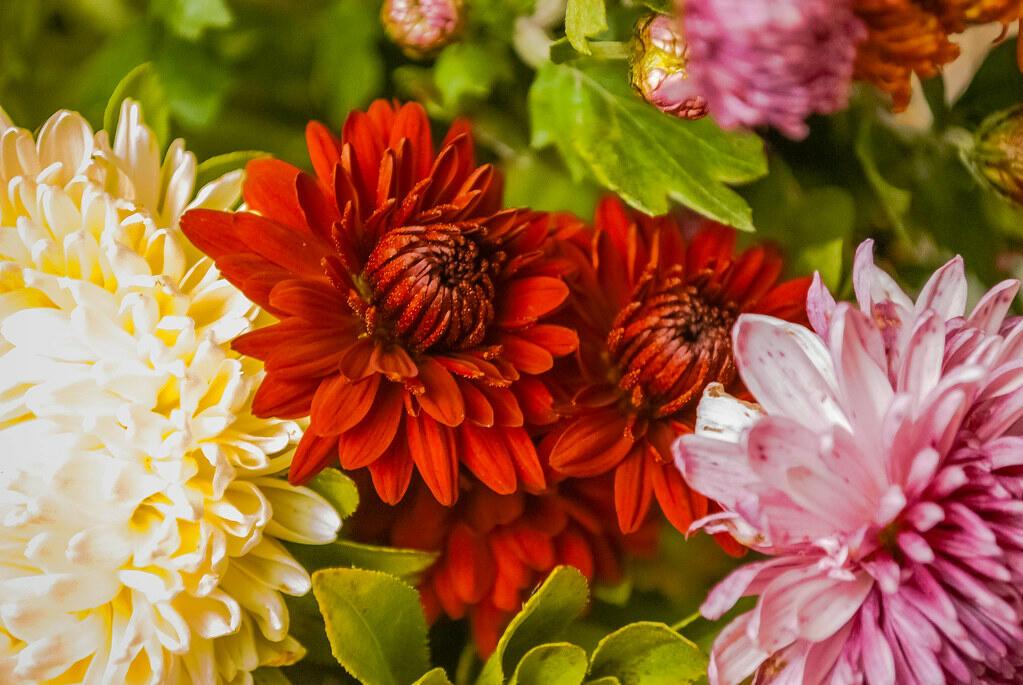 Опять про это...