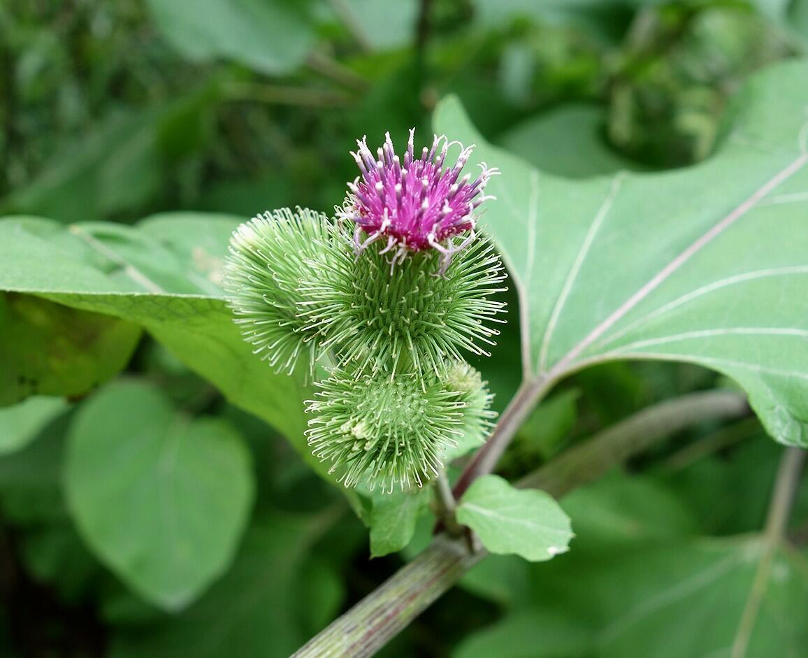 Доверительное 