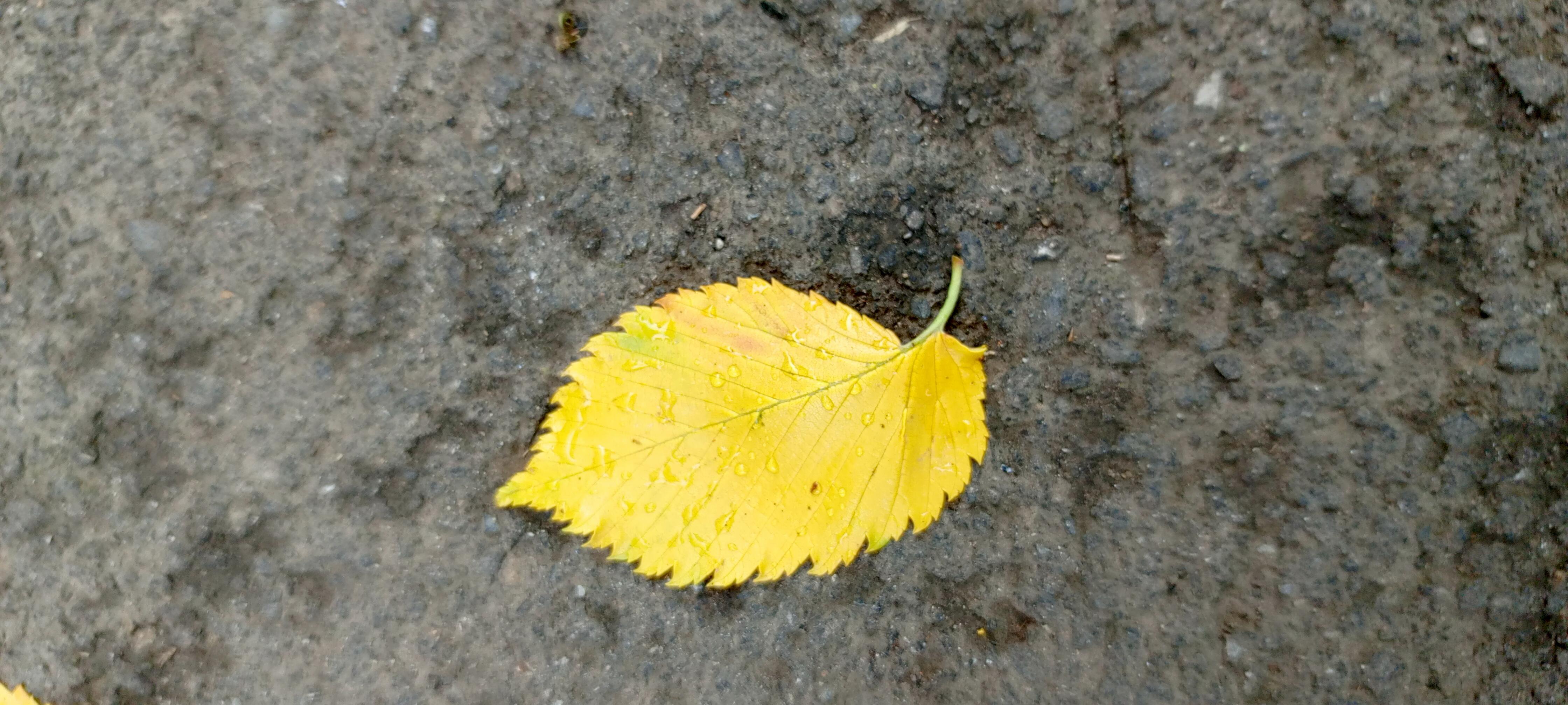 Солнца цвет поменялся на серый.