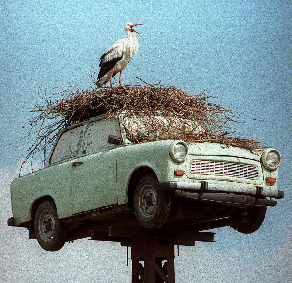 Сельская Вселенная