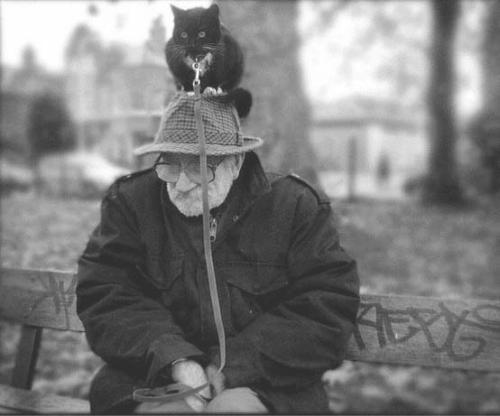 ВРЕМЯ - ДОКТОР  ВРАЧЕВАТЕЛЬ ...