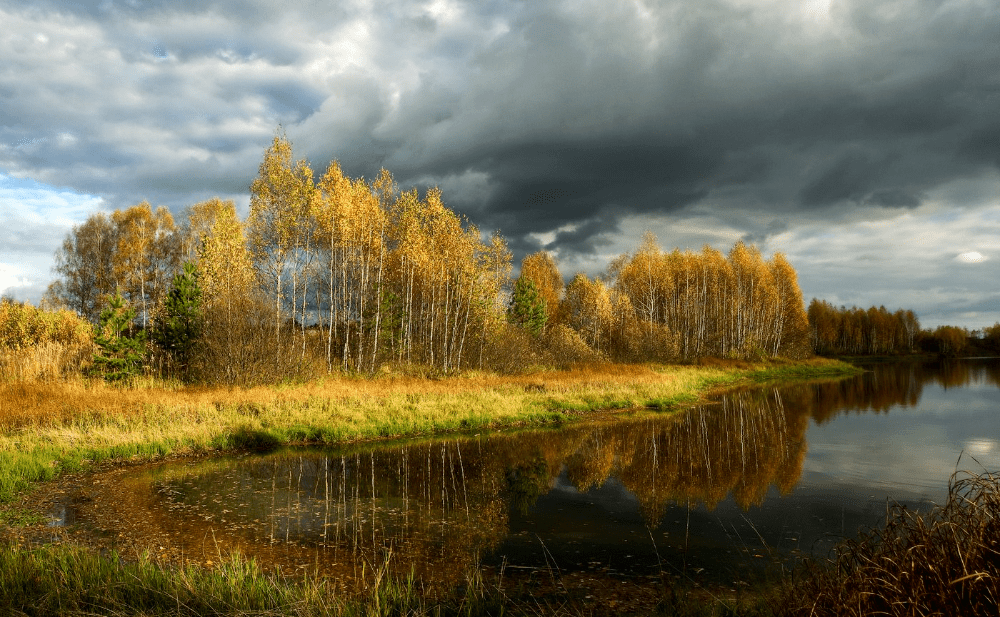 СИНЬ  НЕБА  ПРОМЕЛЬКНЁТ  В  ГЛАЗАХ