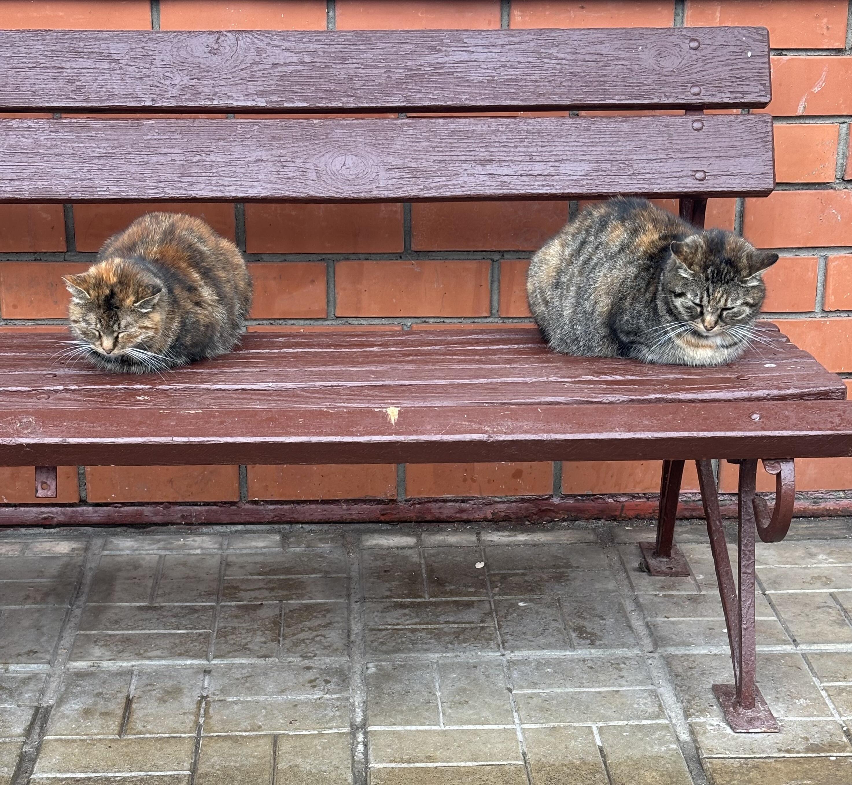 Поругались