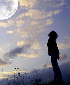 ПРОШУ ПОКОЯ…