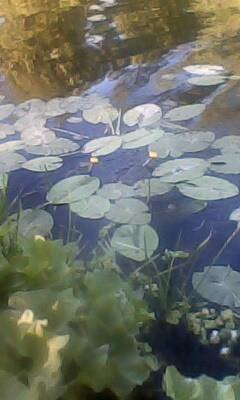 Лучезарье на века