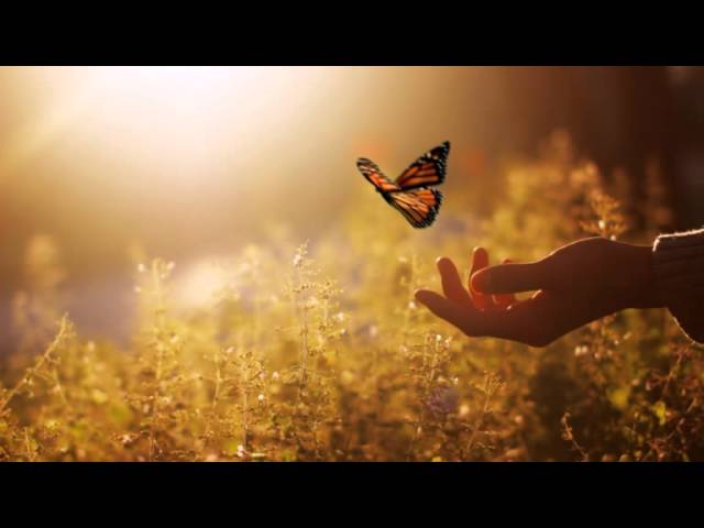 Знать бы человеку что такое здравый ум