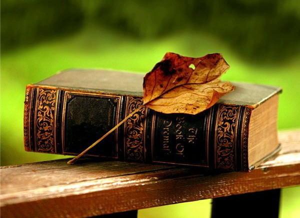 ПЕРЕВОДЧИК