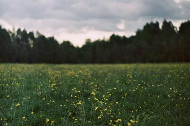 Мягкость линий