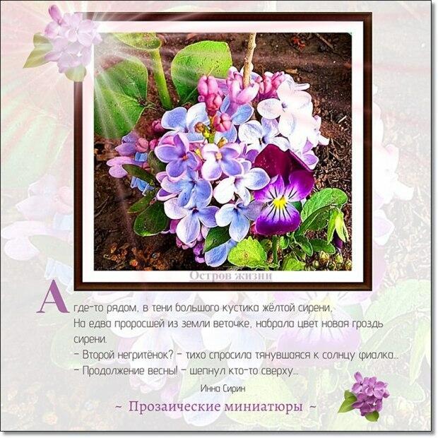 Второй негритёнок?