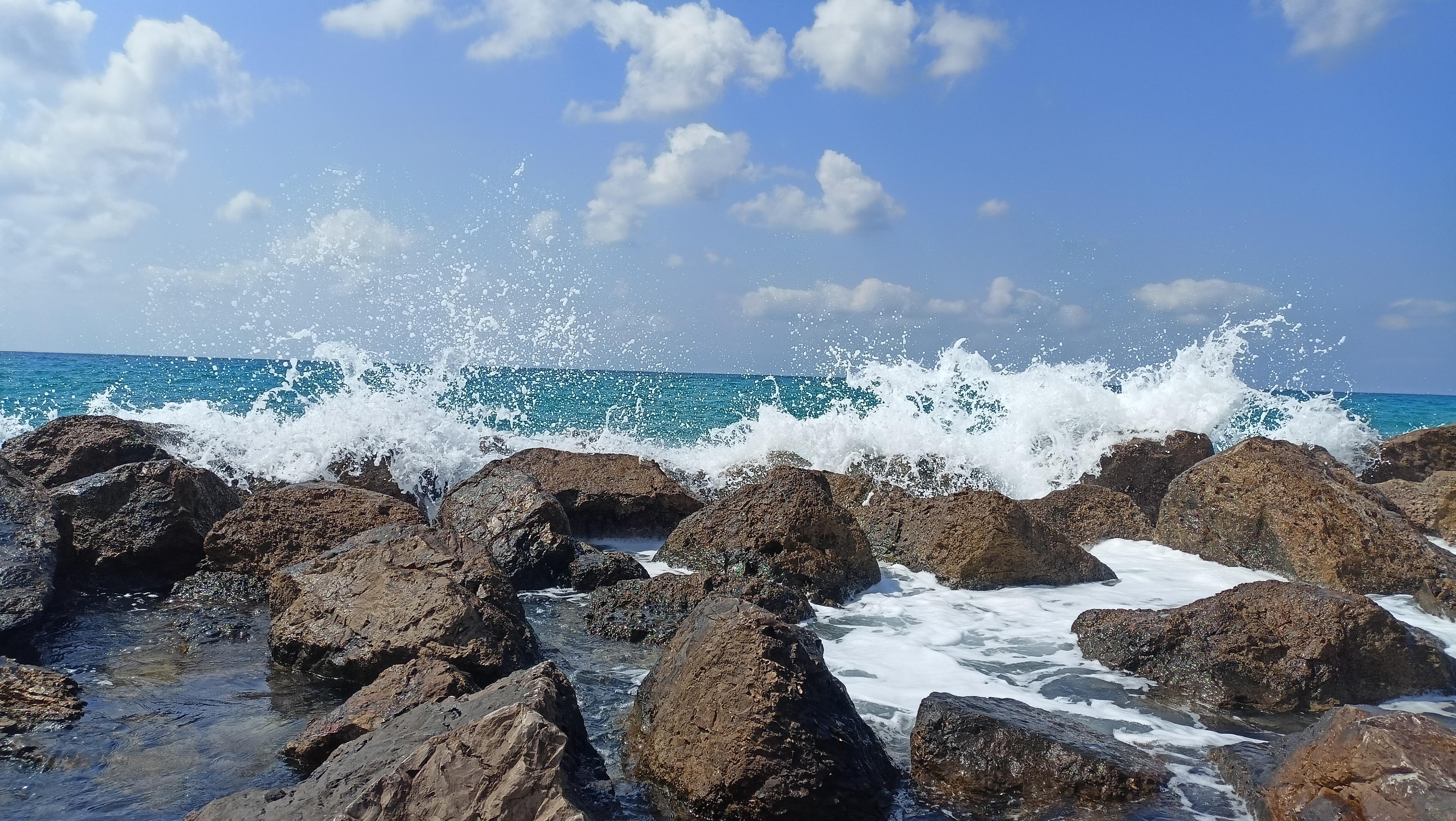 На коротком поводке