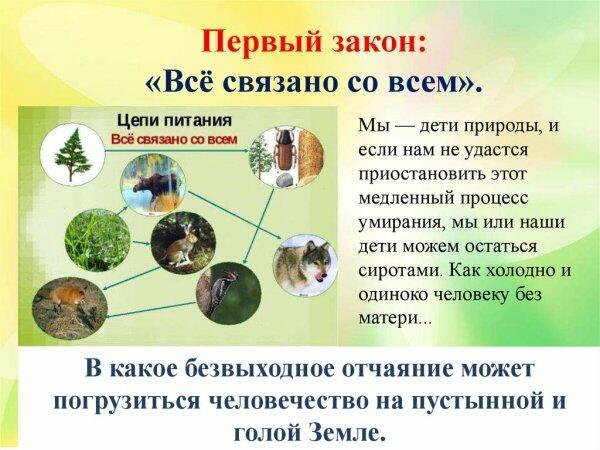 Закон природы