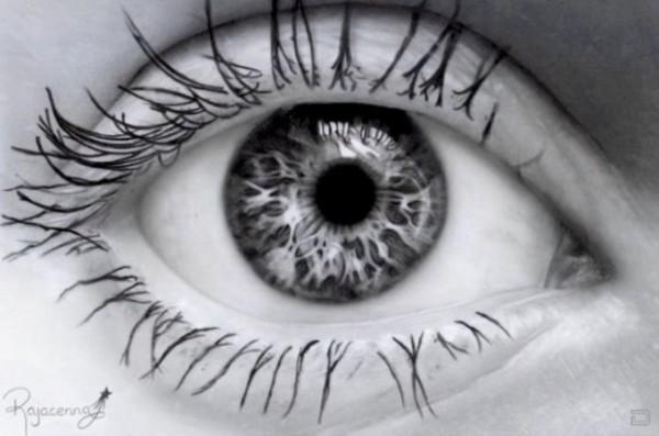 Сердце в висках внезапно запело.