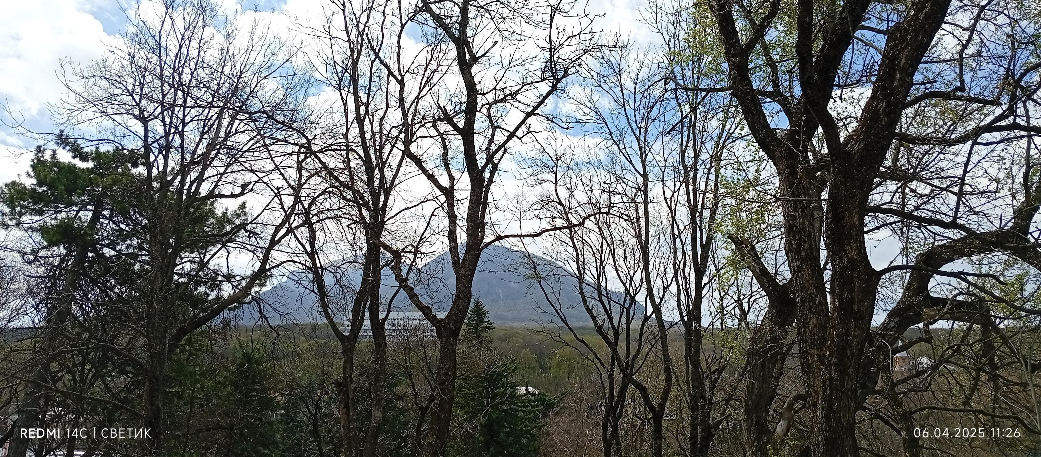 Я вижу путешествия во снах...
