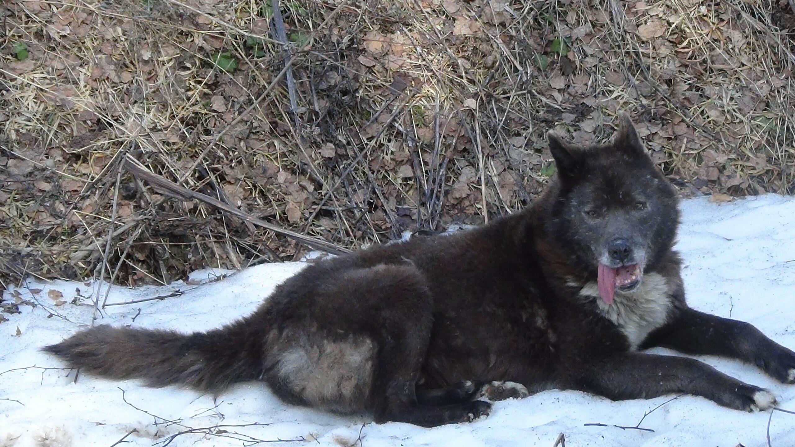 Пожалейте меня