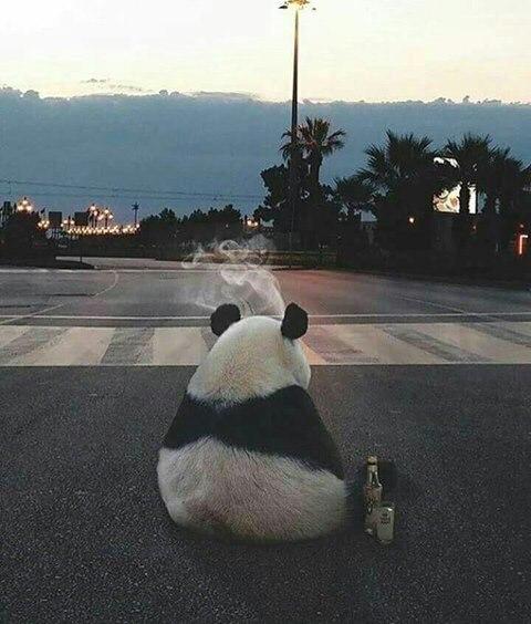 Едешь утром с одними мыслями,везешь домой другие.