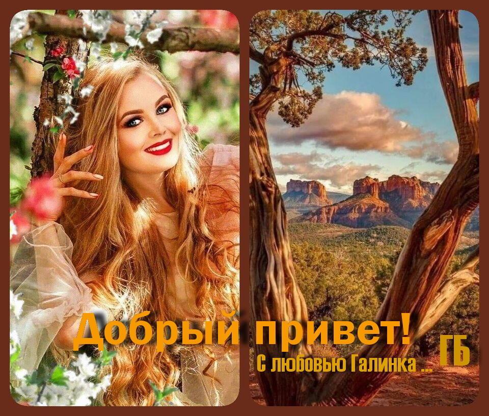 Скучает утро в ожидании Галинка Багрецова