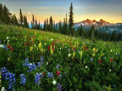 Прекрасны недоступные места...