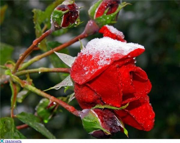 Слепая душа