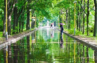 Дождливое перемирие