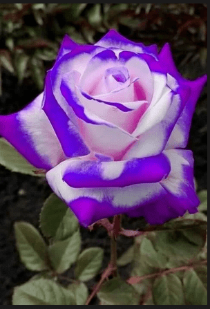 МУЖЧИНАМ ПОСВЯЩАЮ!