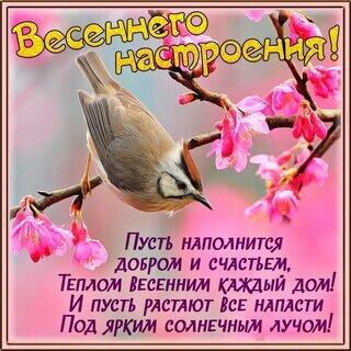 В упоительном танце