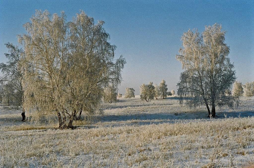 ПОЛЗУЩИЙ НОВЫЙ ГОД