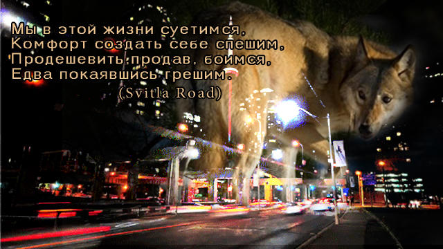 Мы в этой жизни суетимся