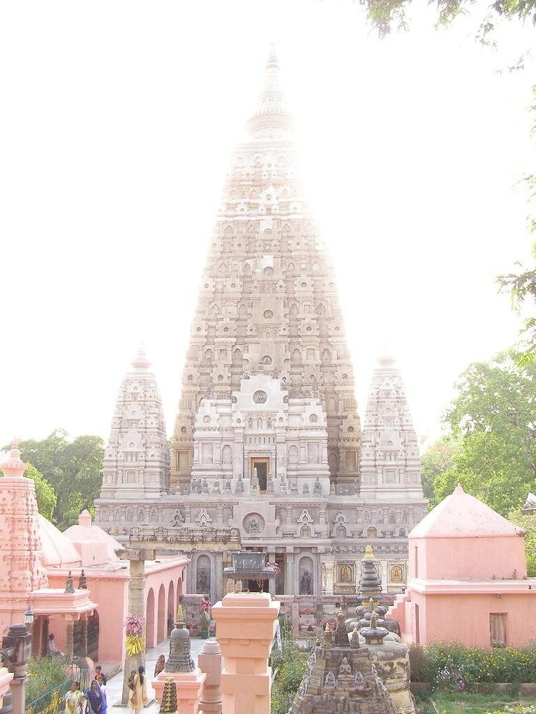 Привези мне в подарок