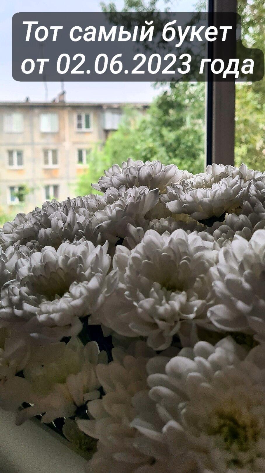 БЛАГОДАРНОСТЬ 33 БУКЕТА