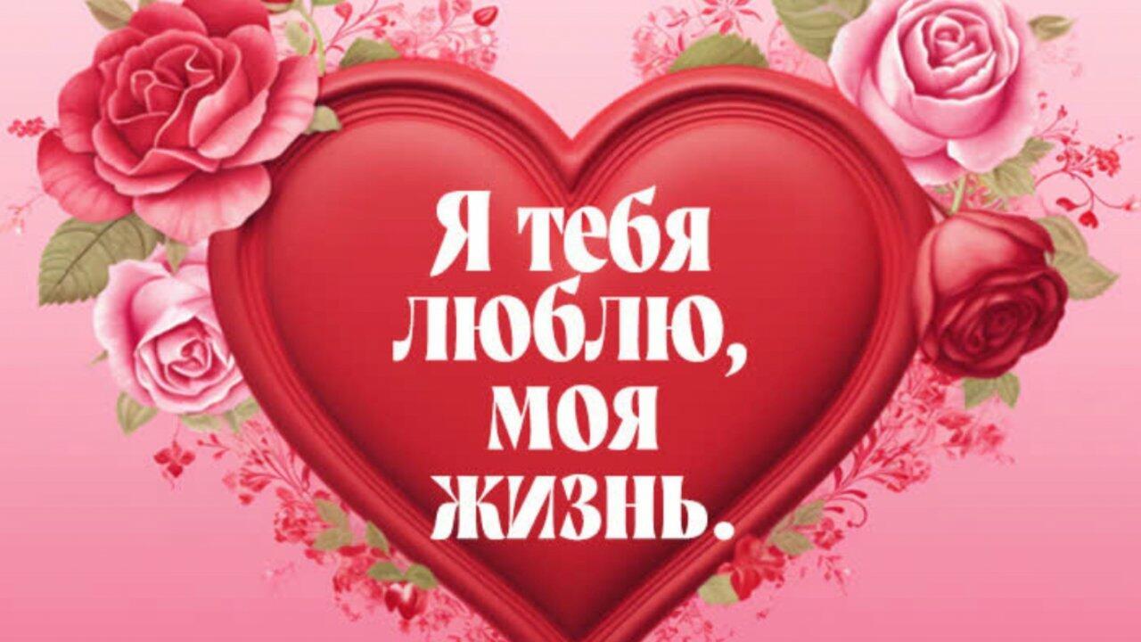 Вот так живу я, господа