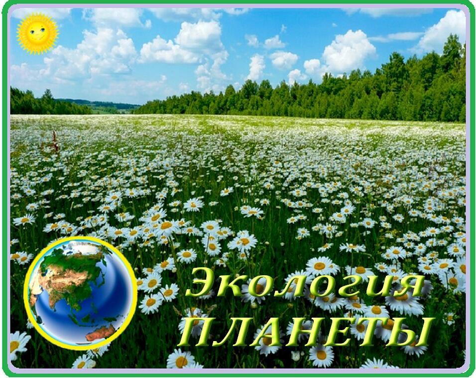 Если вы позволите, ВОЛШЕБСТВО – СЛУЧИТСЯ!