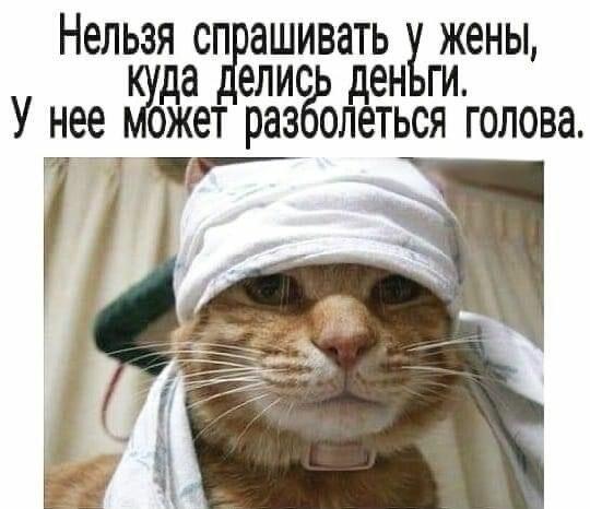 Год задался так удачно.  ДвуХстишье