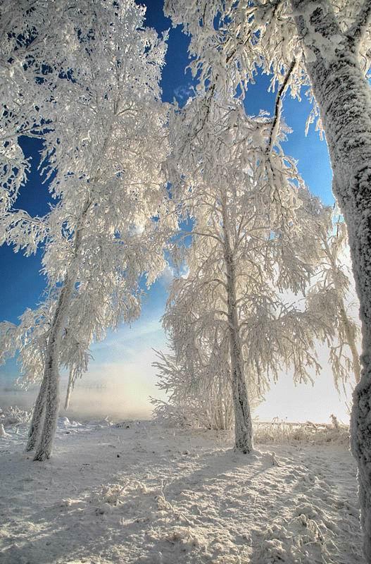 Ответ поэту - Виноградов Вадим - Правда
