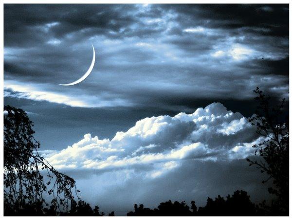 Давно не подхожу к окну