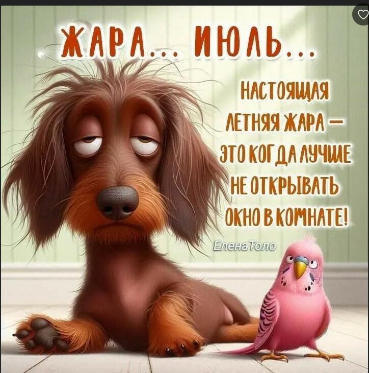 Жаркий июль!!!