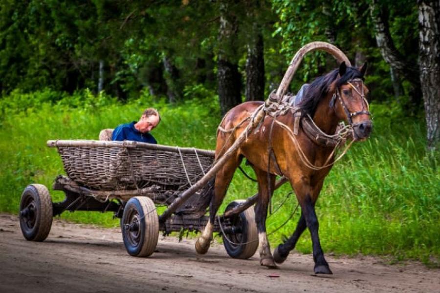 ПУТЬ К ДОМУ