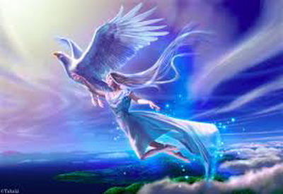 К птице счастья