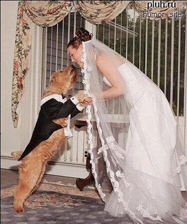 Инструкция для невест