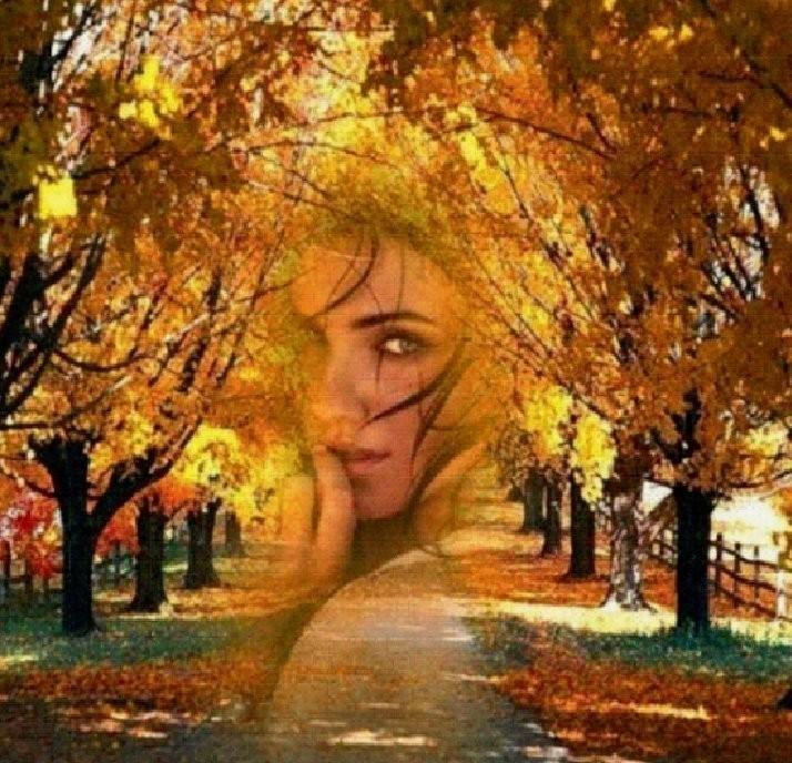 БЕЗ ПРИЗНАКОВ ВИНЫ