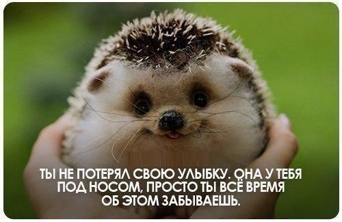 СКАЗКА о Добром ЁЖИКЕ