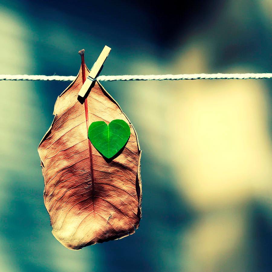 Время залечит...