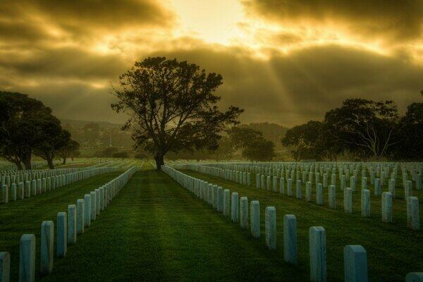 Только лето двинет ноги