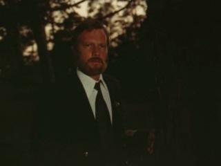 Я бы счастья себе пожелал