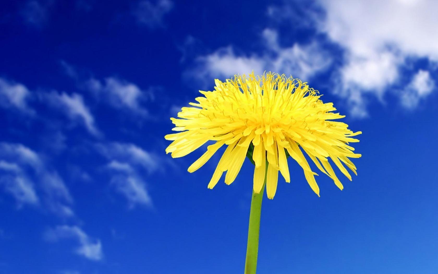 Нам нужно пожить!