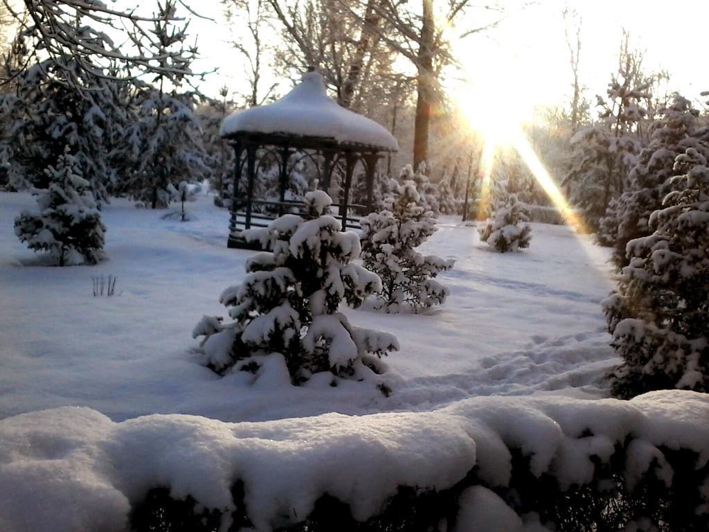 Верное солнце